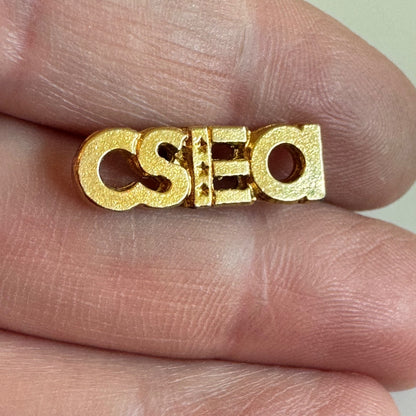 Vintage California State Employees Association CSEA Gold Tone Pin Tie Tack