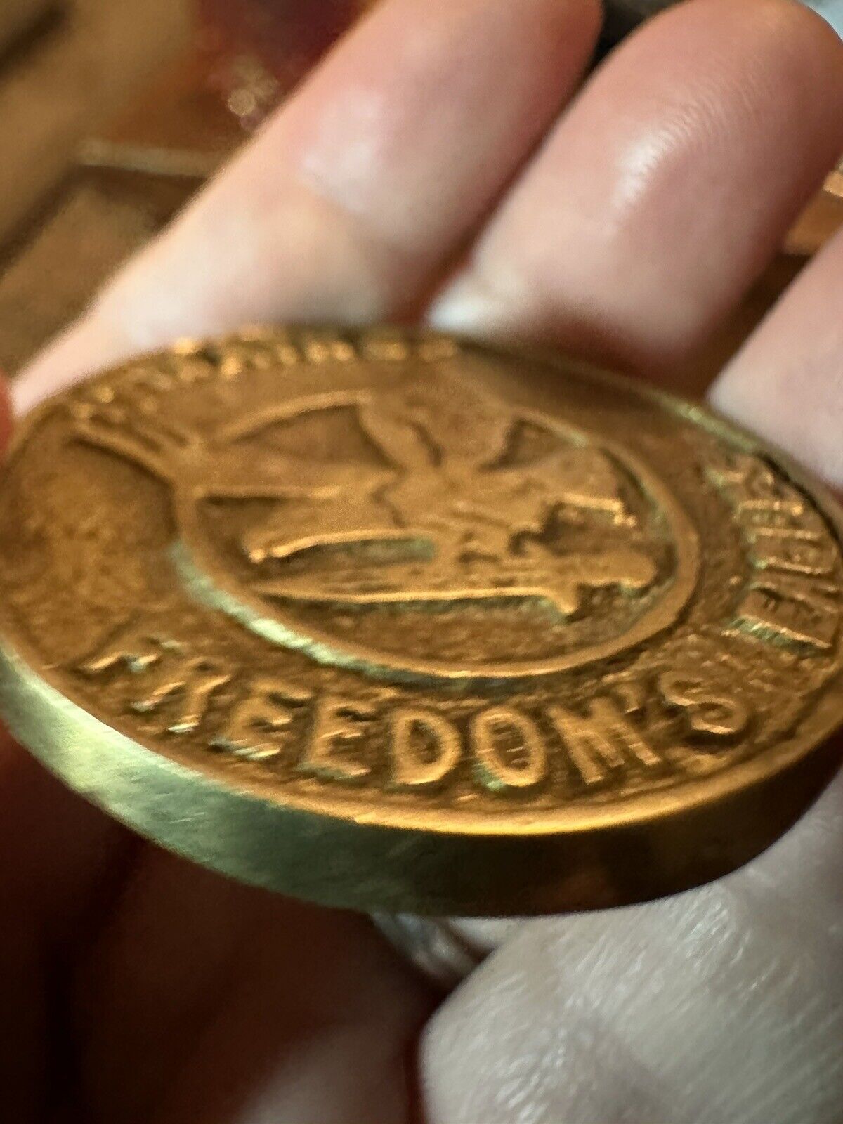 1982 17th COMBAT AVIATION GROUP FREEDOM'S EAGLES CHALLENGE COIN - RARE