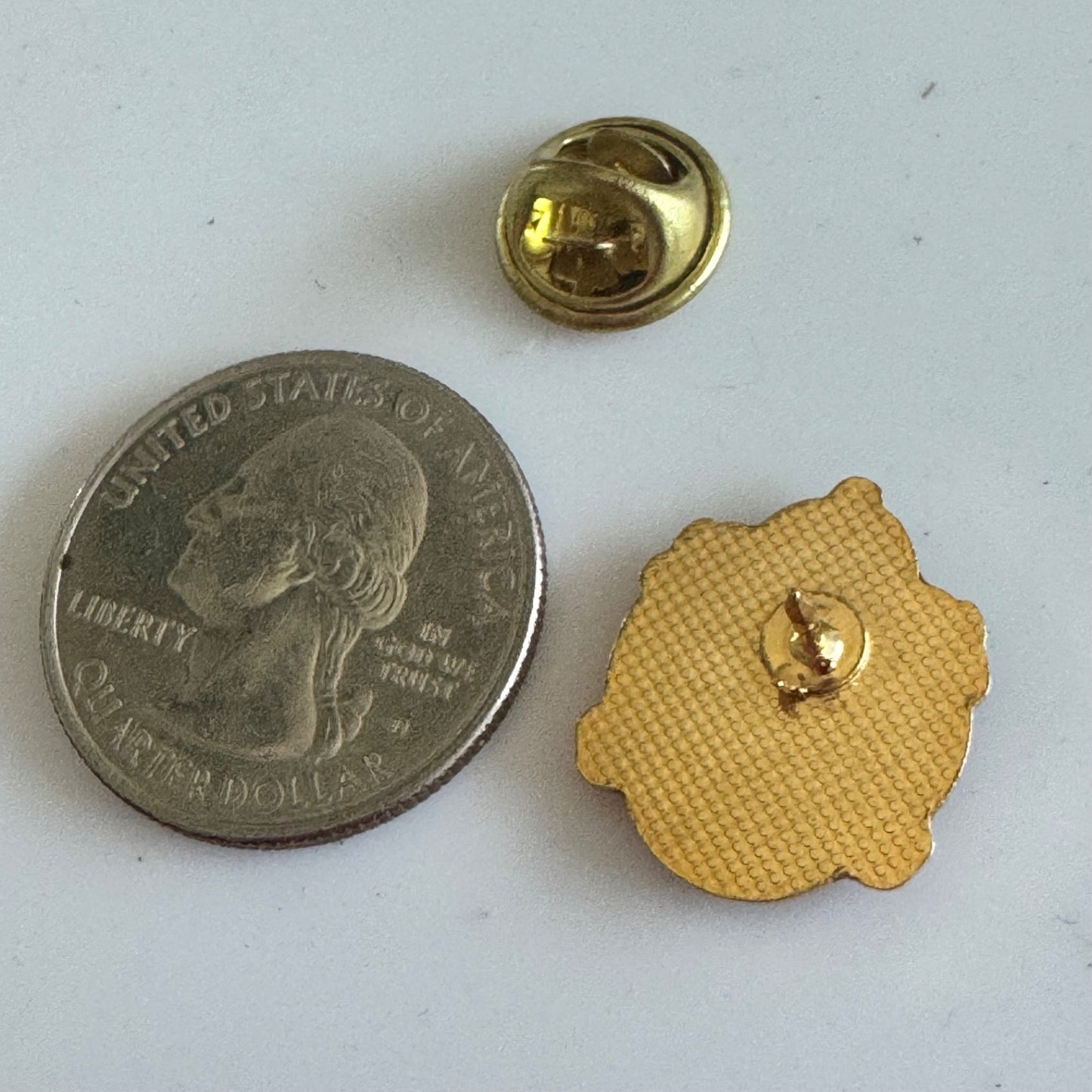 Vtg Twp of Ramara Ontario Canada Crest Beaver Enamel Lapel Hat Pin Badge