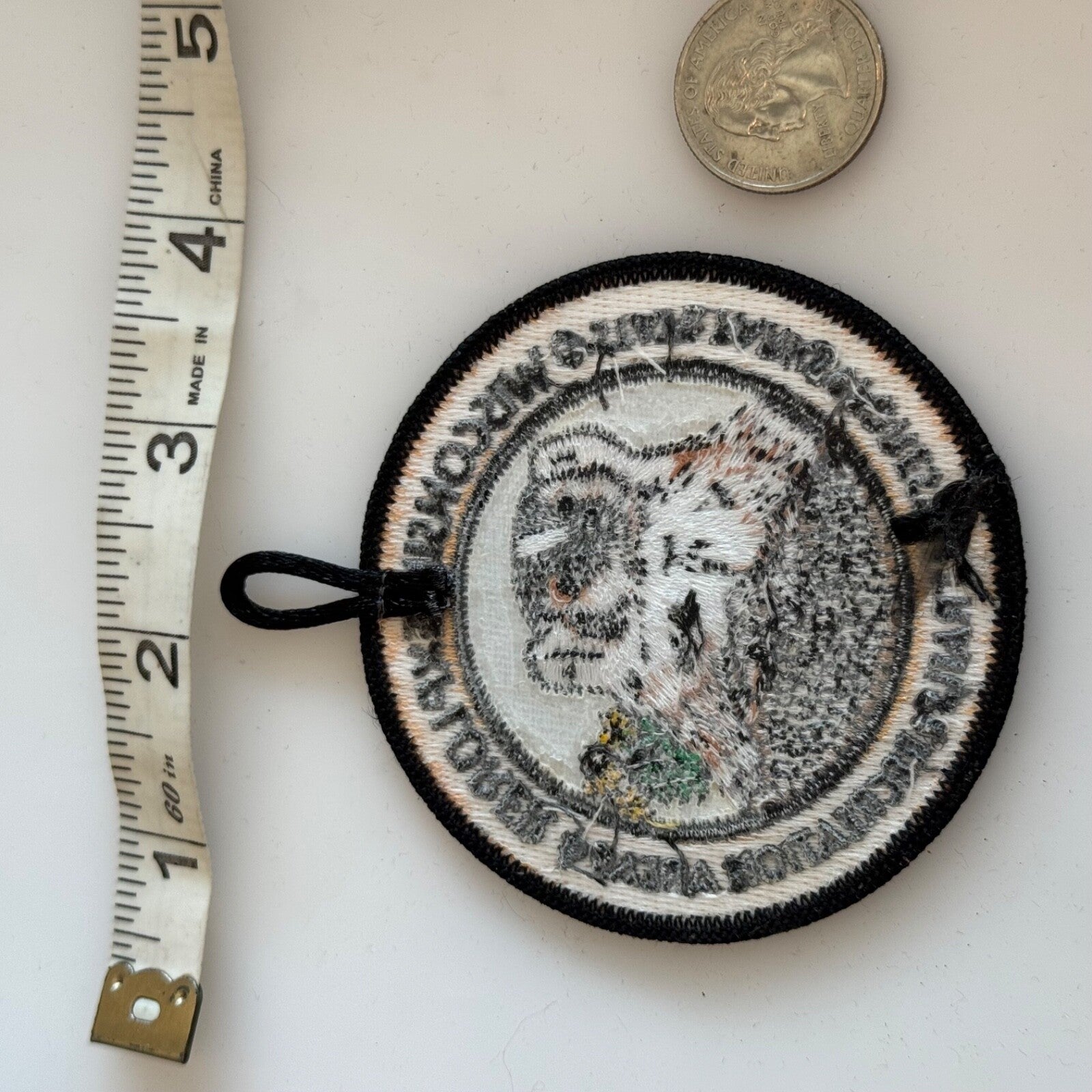 Image #4