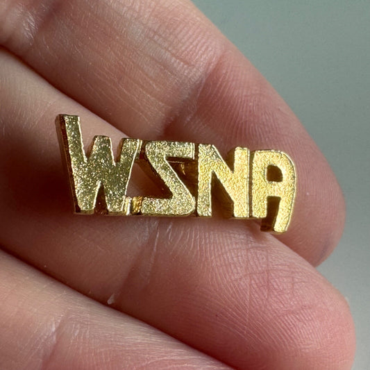 Vintage WSNA Washington State Nurses Association Lapel Pin Union