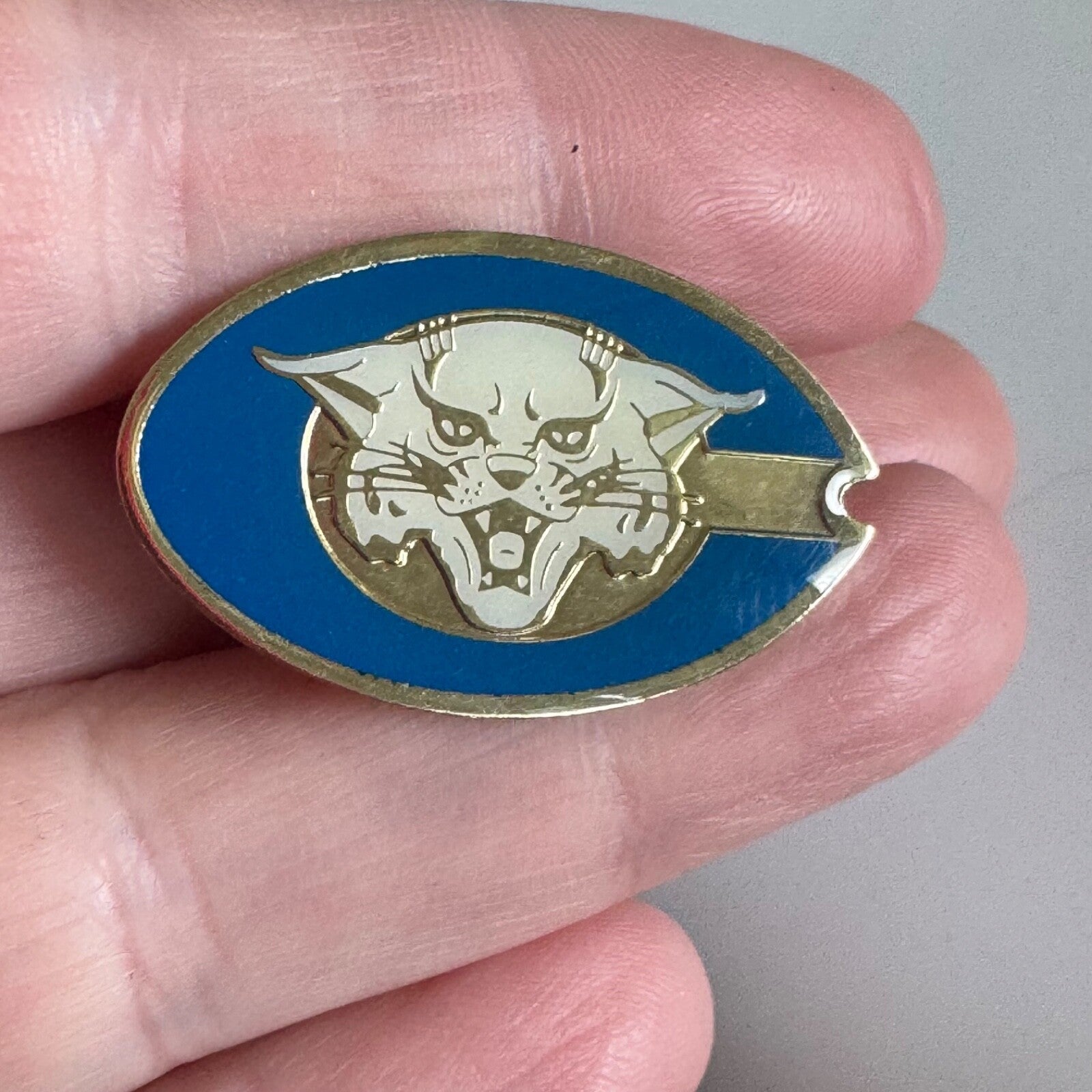 Vintage Pueblo Central High School Wildcats Pin – Blue Team Mascot