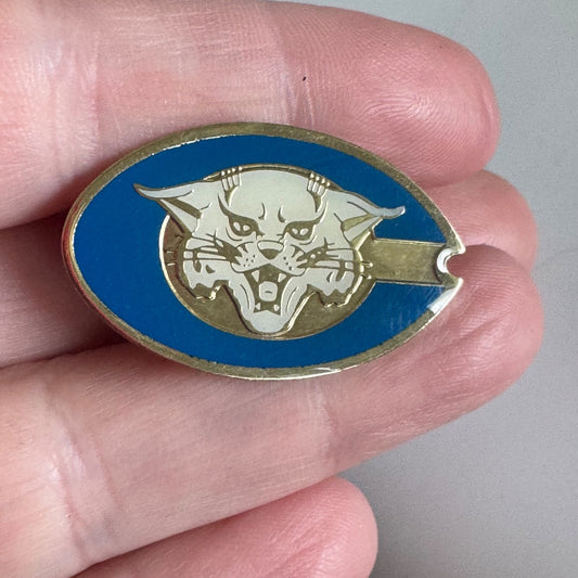 Vintage Pueblo Central High School Wildcats Pin – Blue Team Mascot