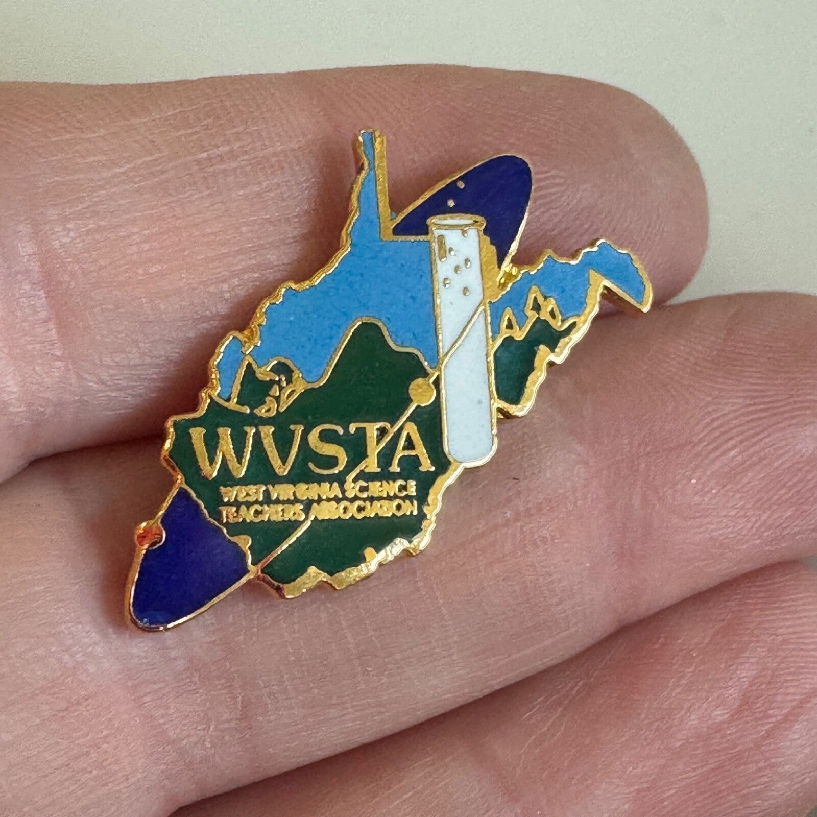 Vintage WVSTA Pin – West Virginia Science Teachers Association