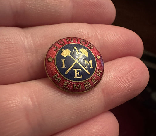 American Institute of Mining Metallurgical & Petroleum Engineers Member Pin AIME