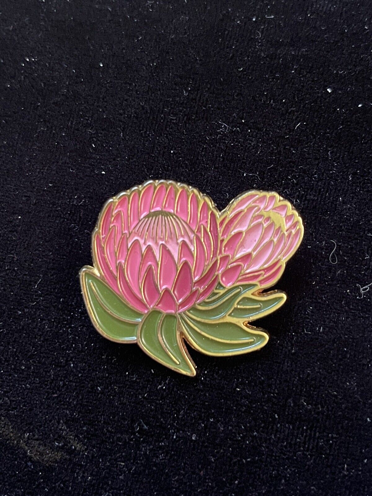 OFELIA PROTEA ENAMEL LAPEL PIN by Paper Anchor Co